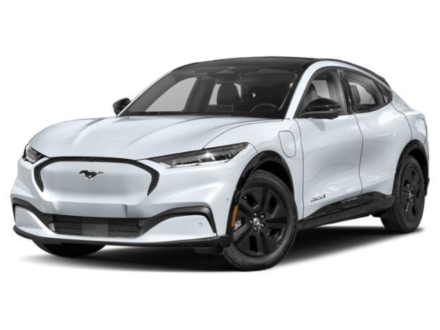 2021 Mustang Mach-E 2021 Mustang Mach-E