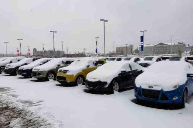 Winter Winter
