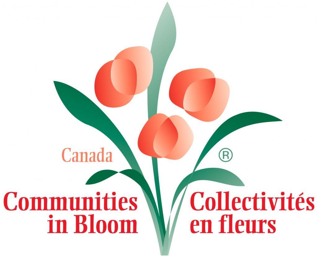 Comm in Bloom Comm in Bloom