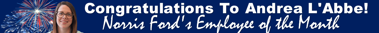 banner banner