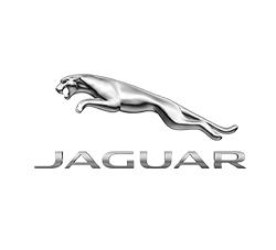 Saga Jaguar Saga Jaguar