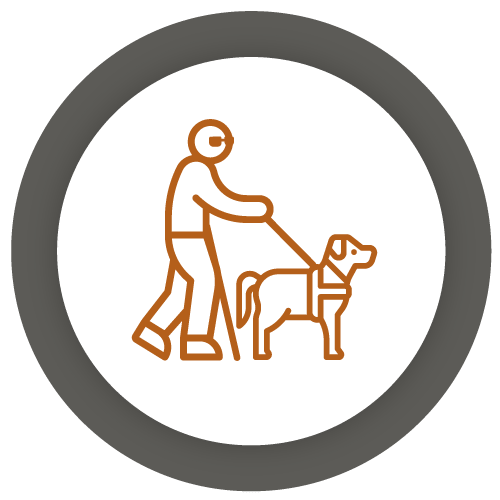 Accessibility Accessibility