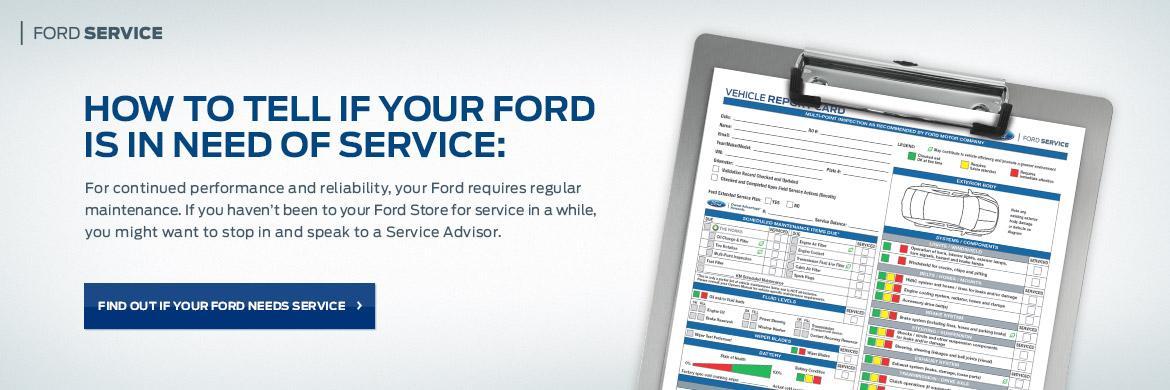 Service Service