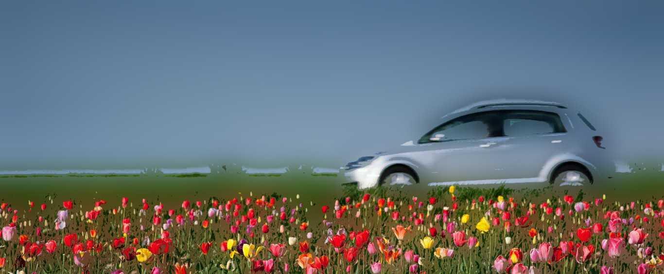 C'est le printemps pour votre auto C'est le printemps pour votre auto