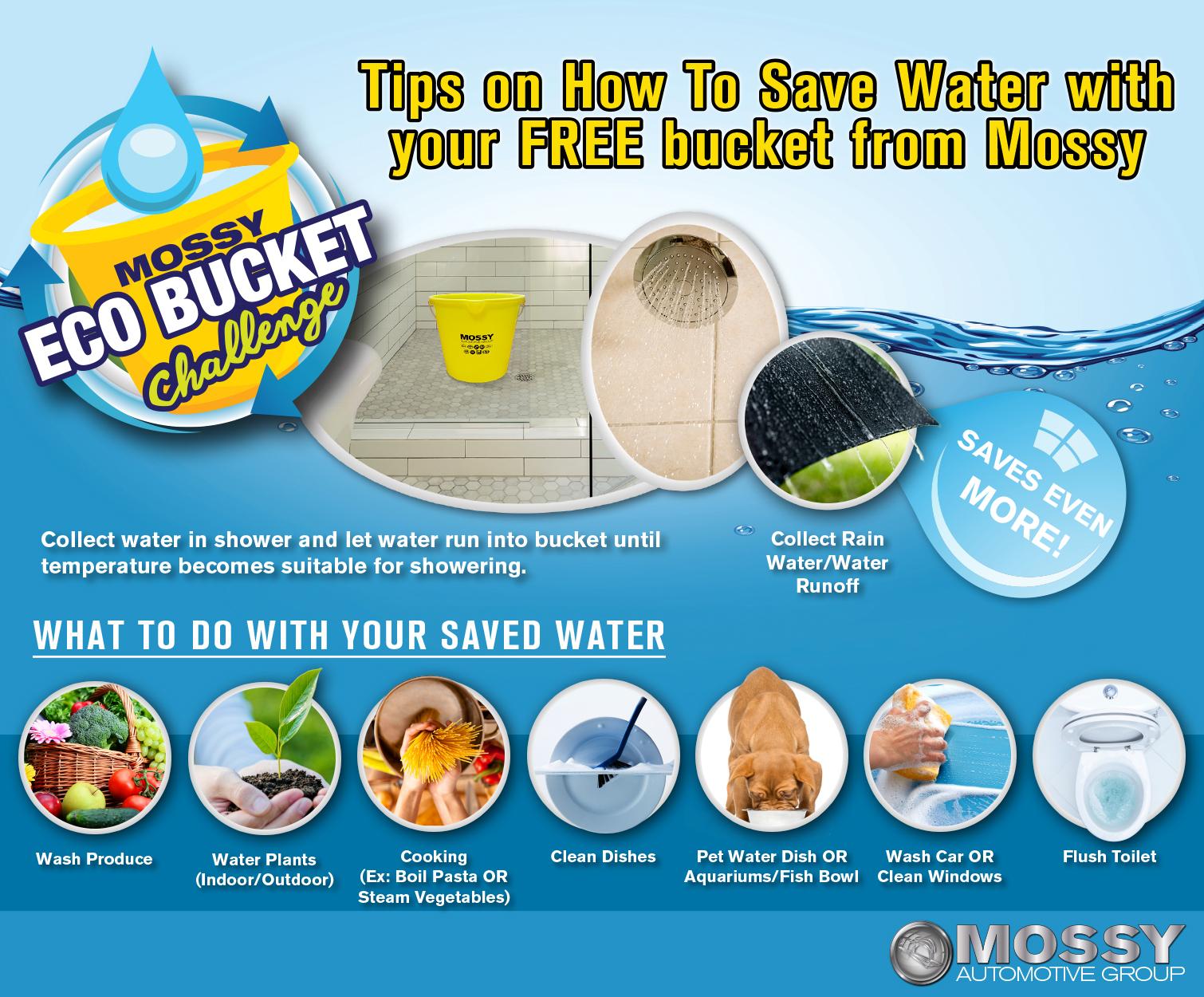 Save Your Back and Your Money: Make an Automatic Waterer for Your