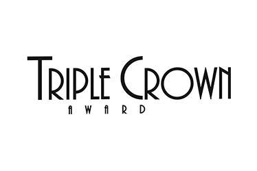 South Bay Ford is a winner of the Ford Triple Crown, awarded to its most outstanding dealerships.