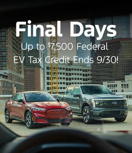 https://www.southbayford.com/new/new-vehicle-inventory.html?models=mustang%20mach-e,f-150%20lightning