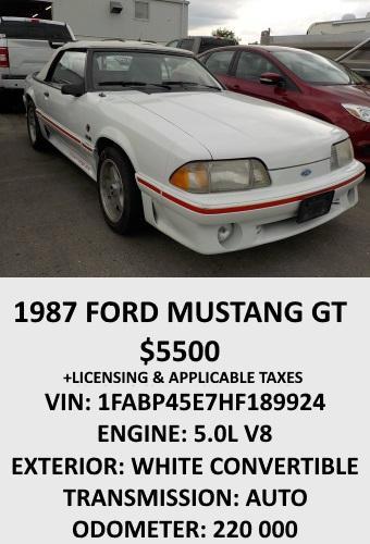 1987 Ford Mustang for Sale 1987 Ford Mustang for Sale