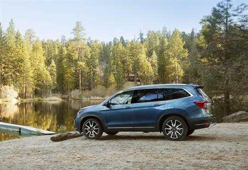 2019 Pilot 2019 Pilot