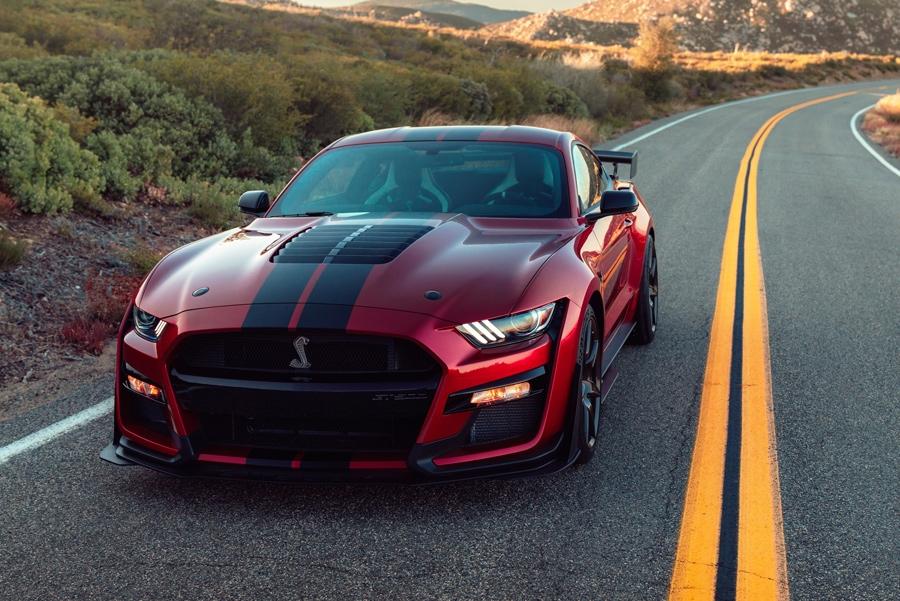 2019 Mustang 2019 Mustang