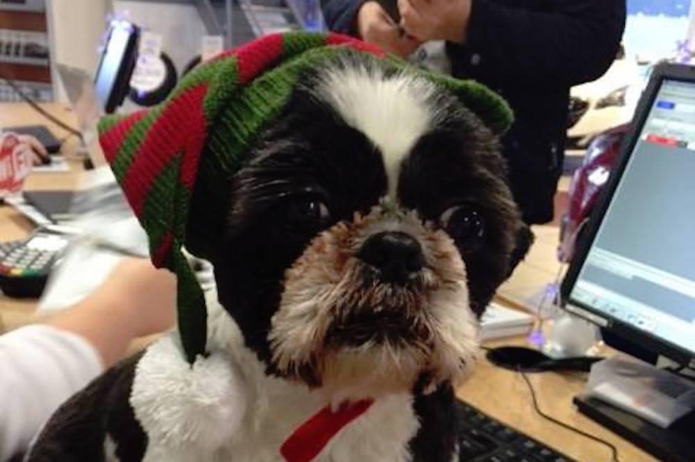 Elvis has (not) left the building! This week on Facebook. Elvis has (not) left the building! This week on Facebook.