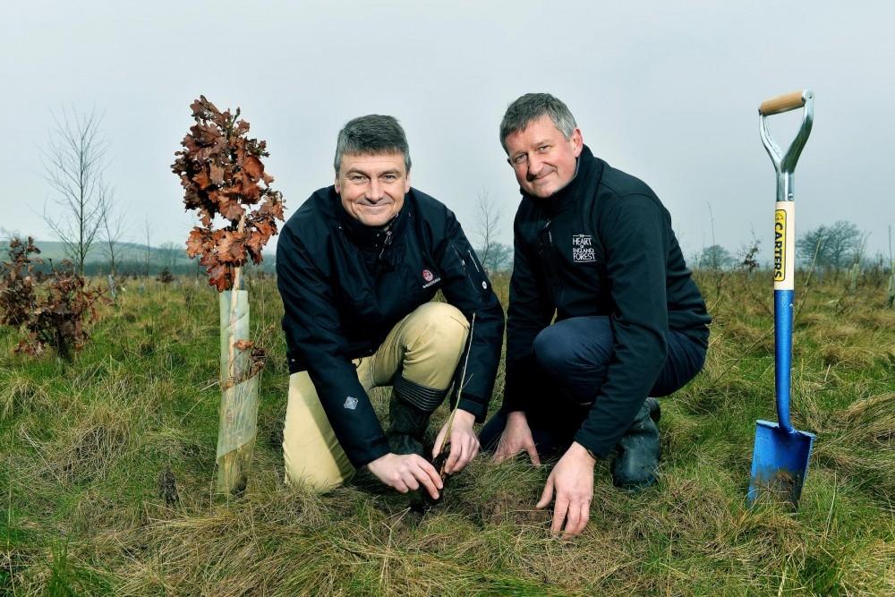Vauxhall’s Heart of England Forest Contribution Grows Vauxhall’s Heart of England Forest Contribution Grows