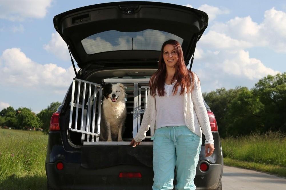Take Care With Your Pet In The Car This Summer Take Care With Your Pet In The Car This Summer
