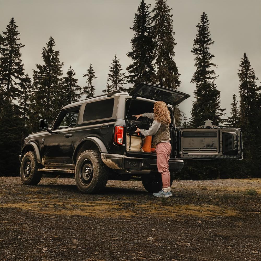 Bronco Bronco