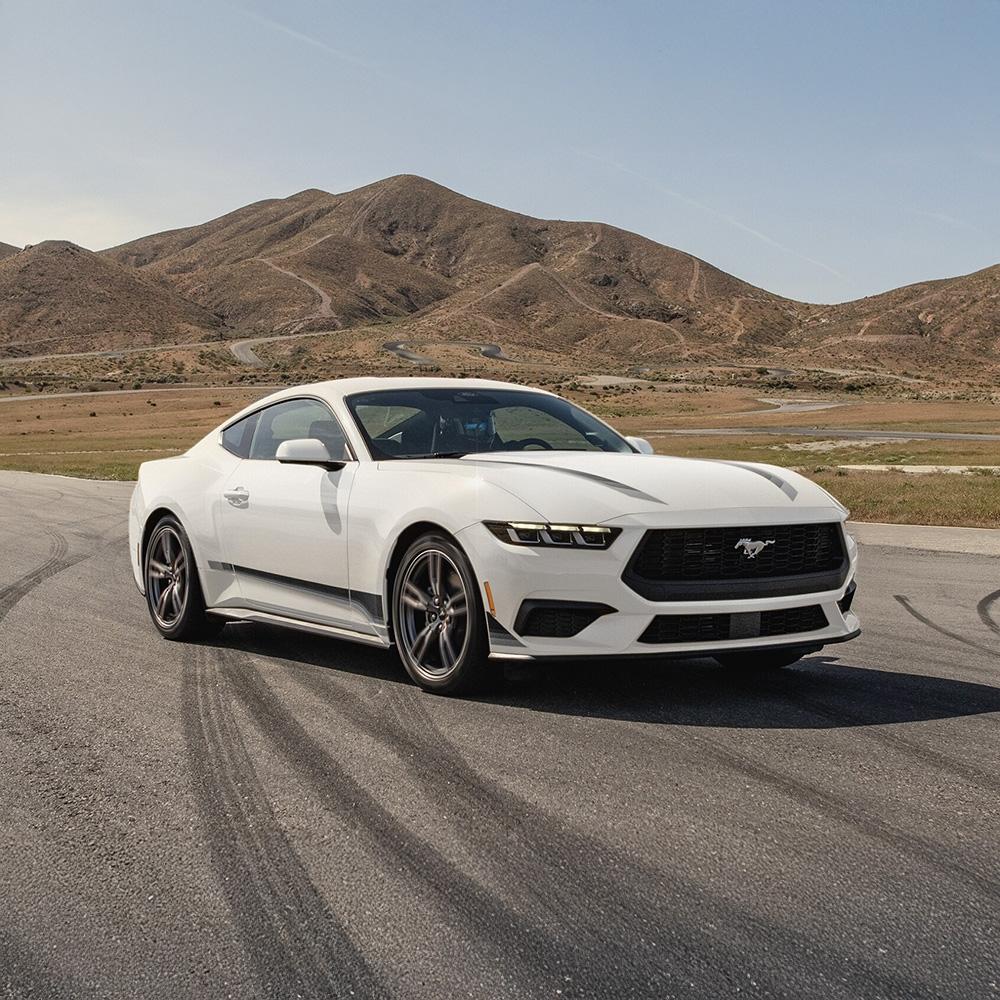 Mustang Mustang