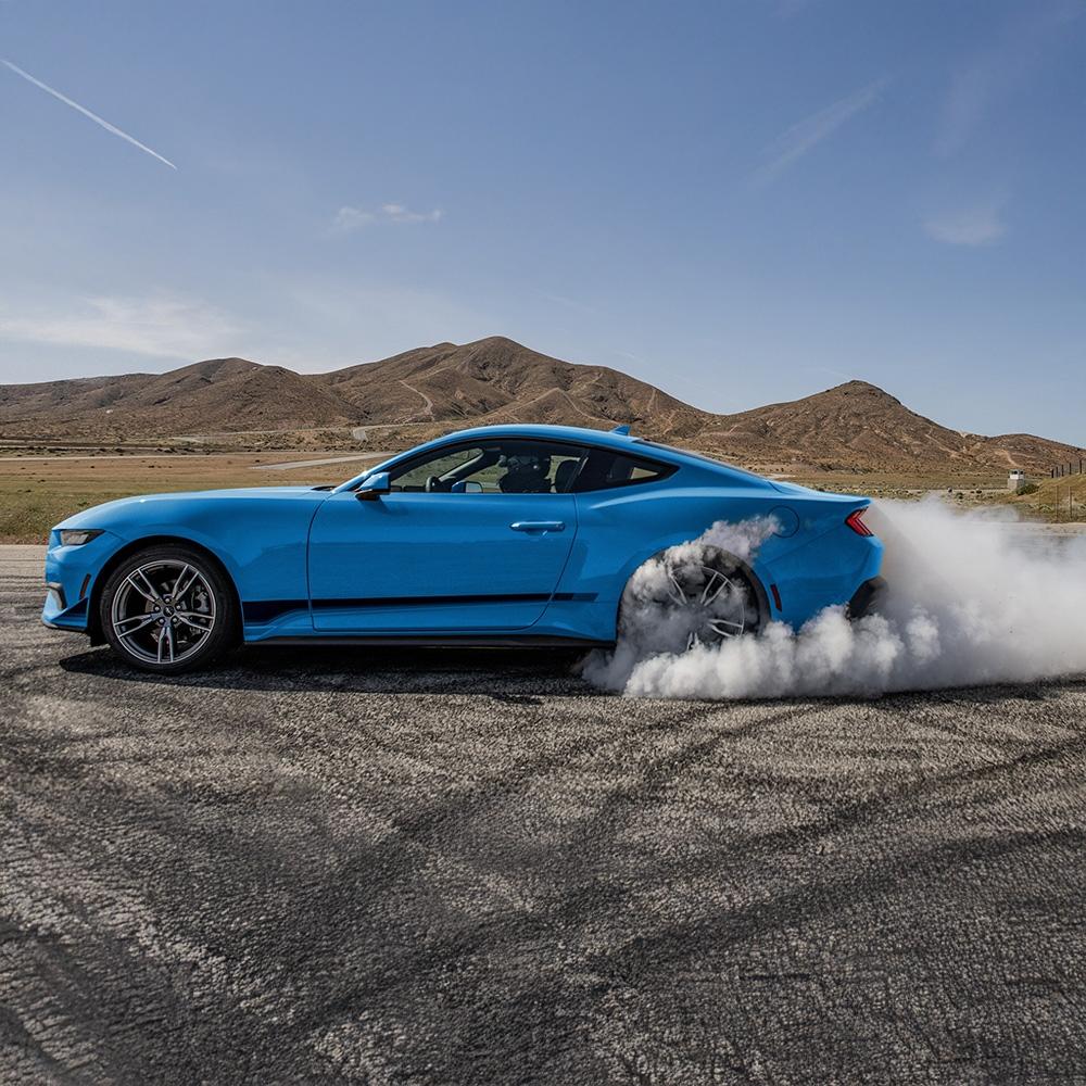 Mustang Mustang