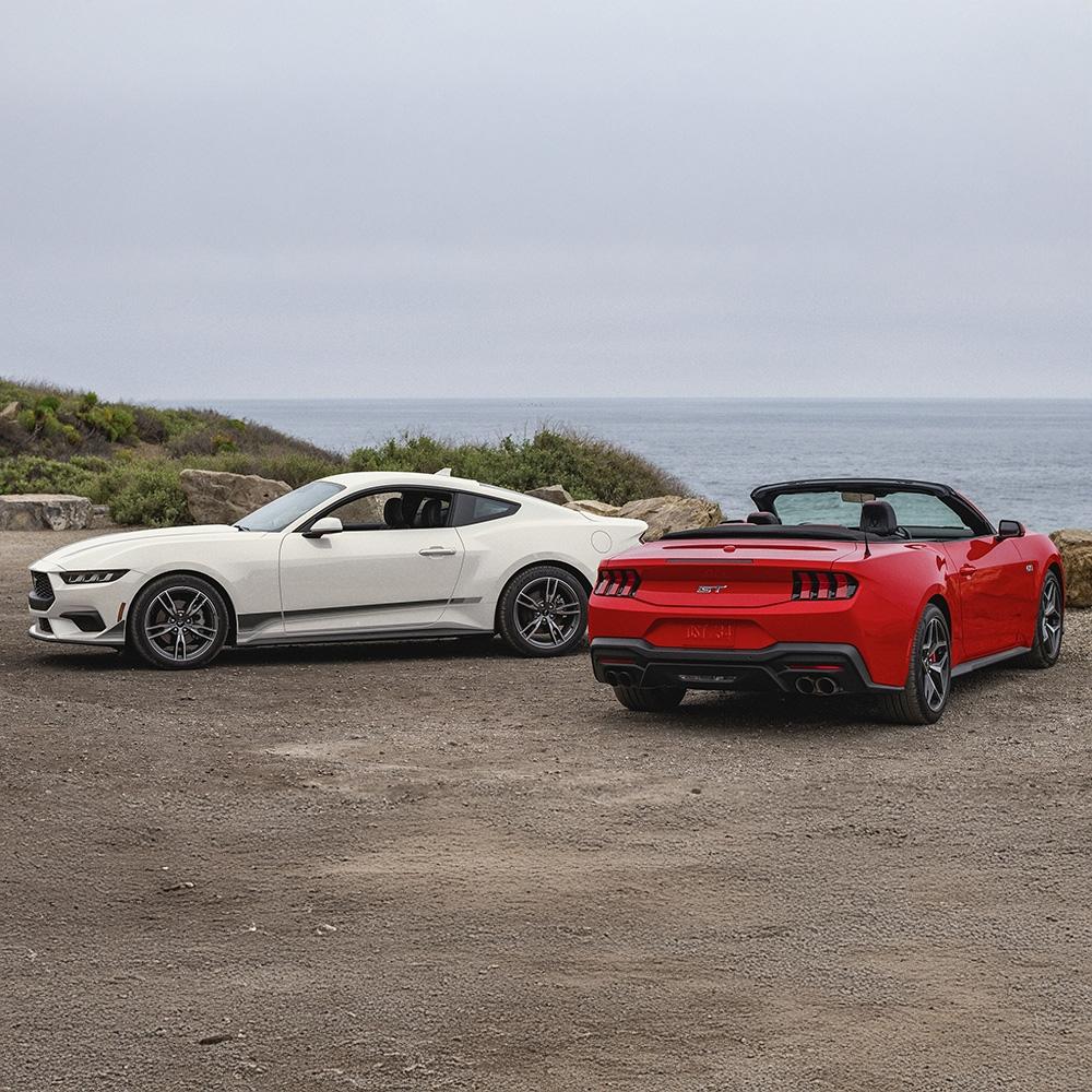 Mustang Mustang