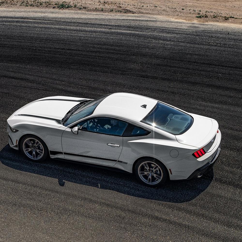 Mustang Mustang