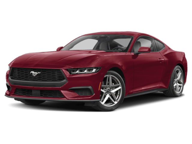 Mustang Mustang