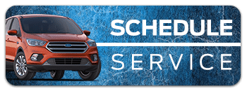 Service Service