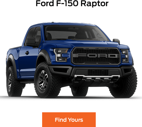Raptor Raptor
