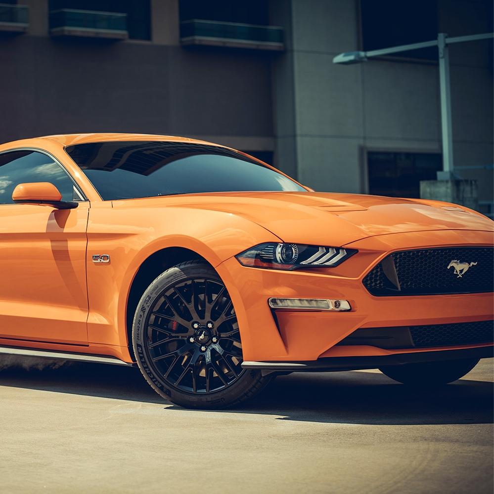 Mustang Mustang