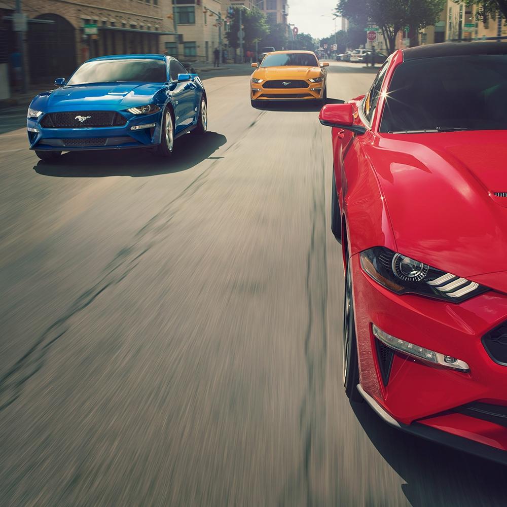 Mustang Mustang