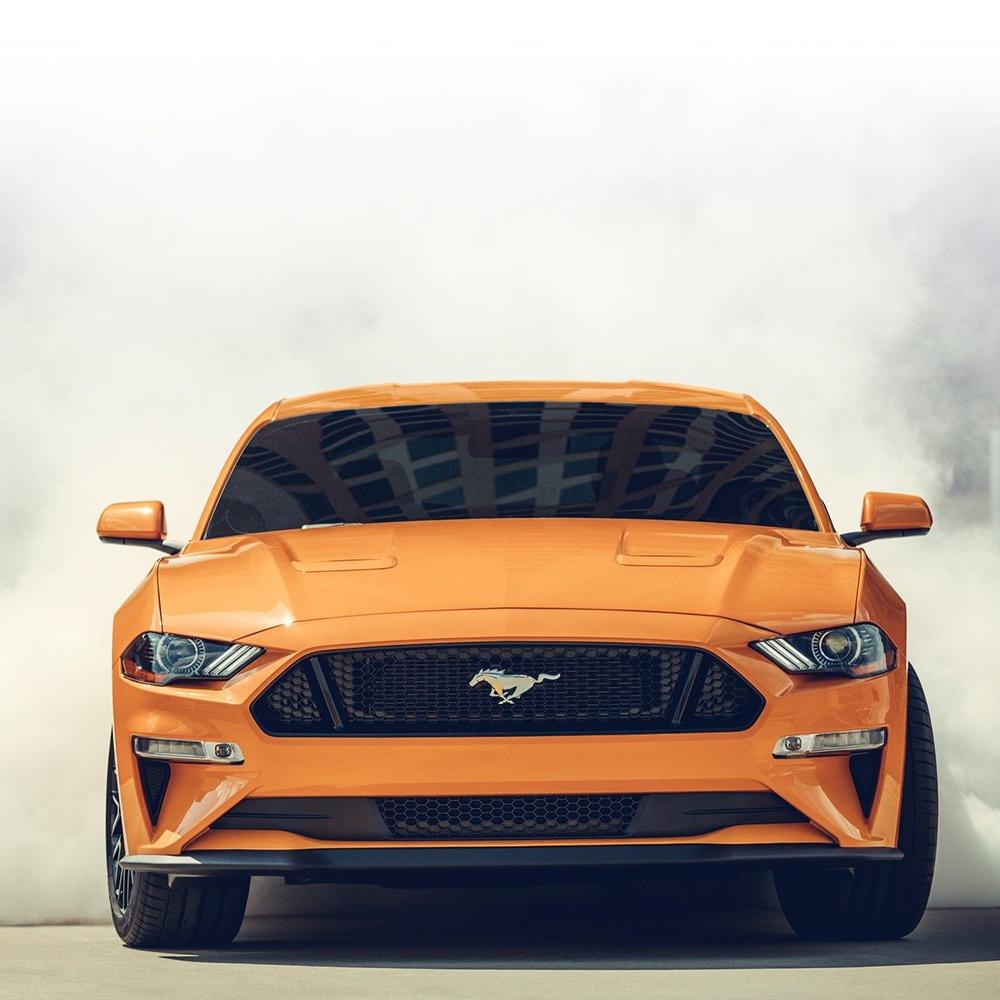 Mustang Mustang