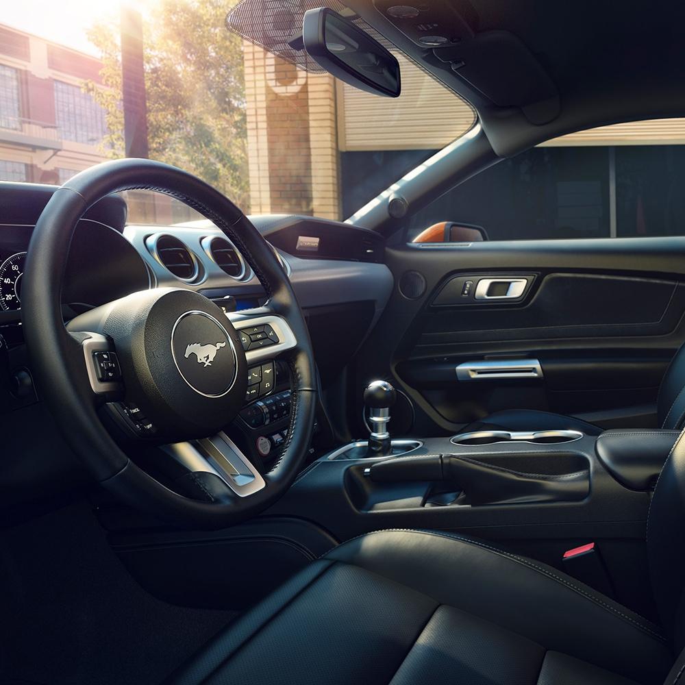 Mustang Mustang