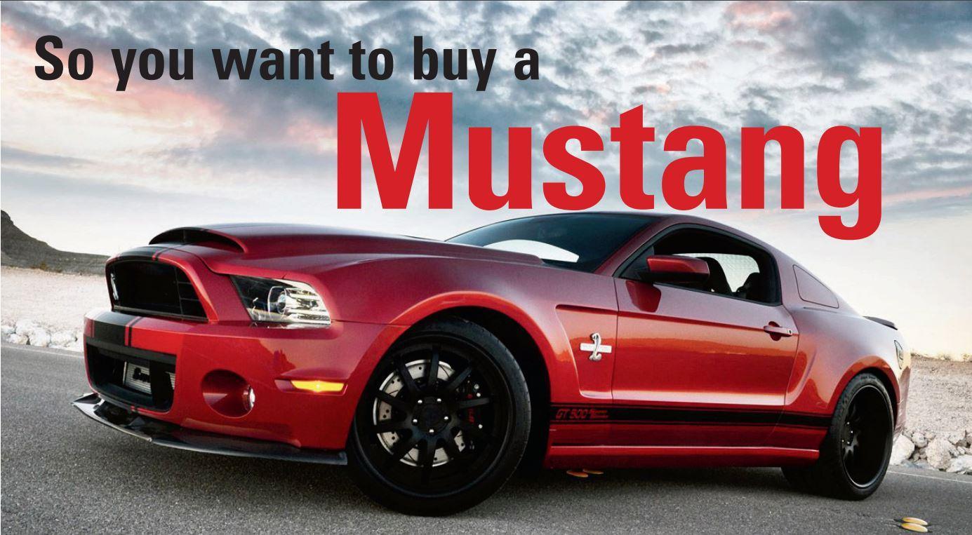 Ford Buyer's Guide image Ford Buyer's Guide image