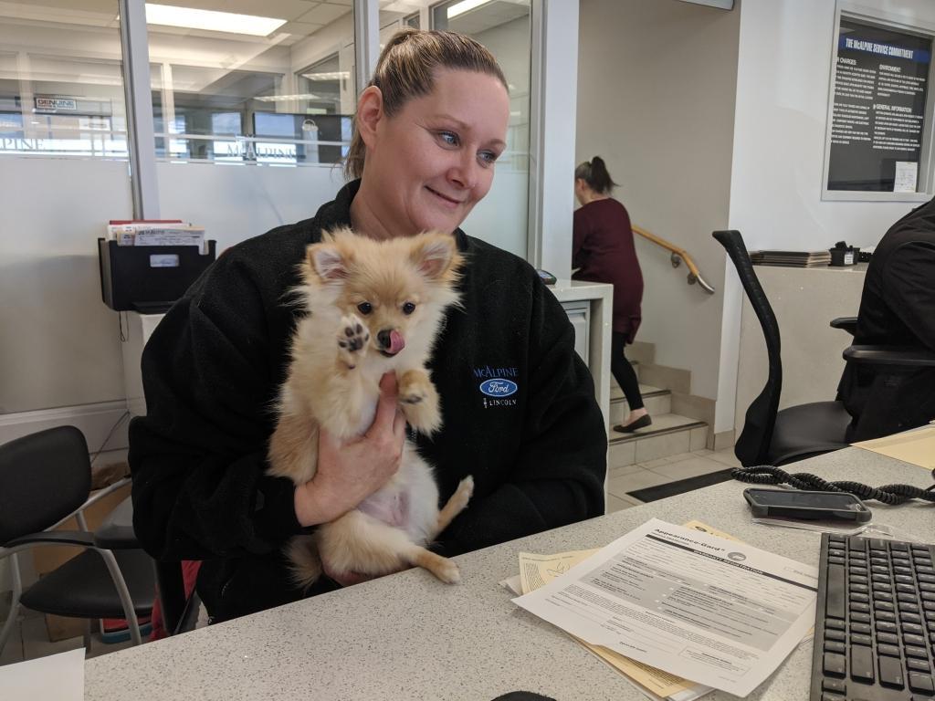 Ford & Lincoln Dog of the Week image Ford & Lincoln Dog of the Week image