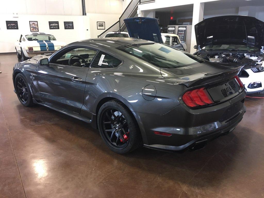 Shelby Shelby