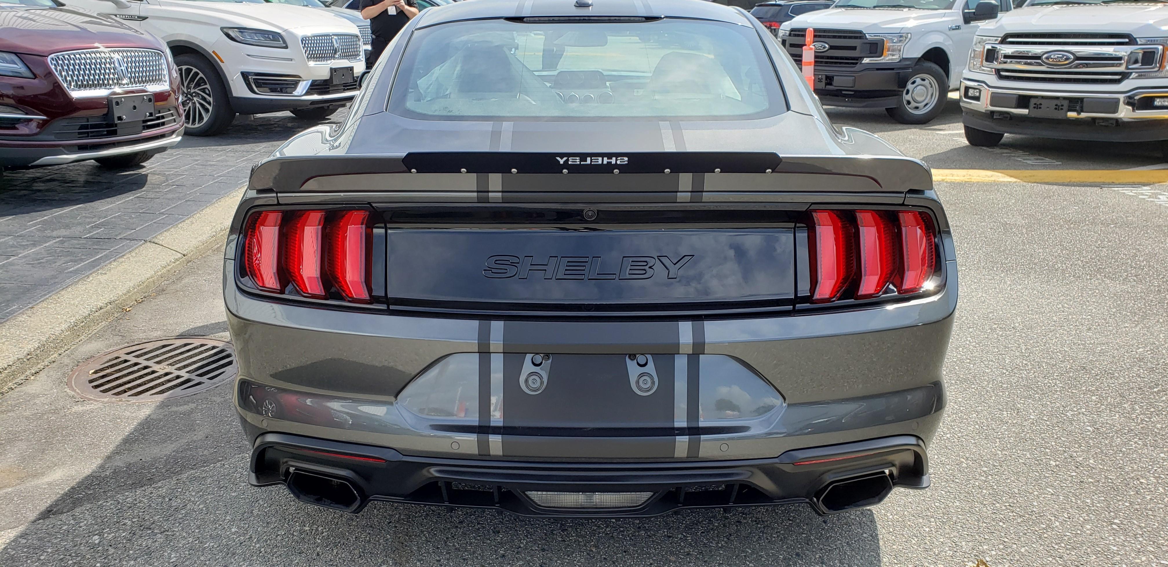 Shelby Shelby
