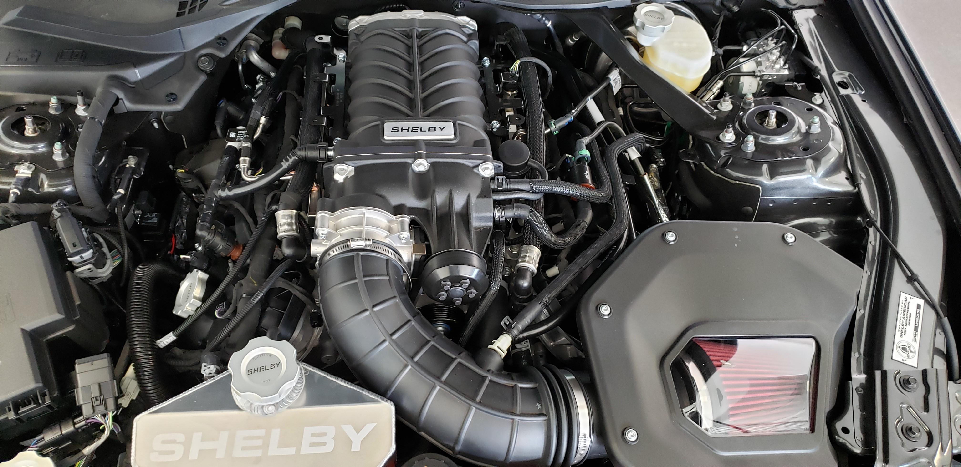 Shelby Shelby