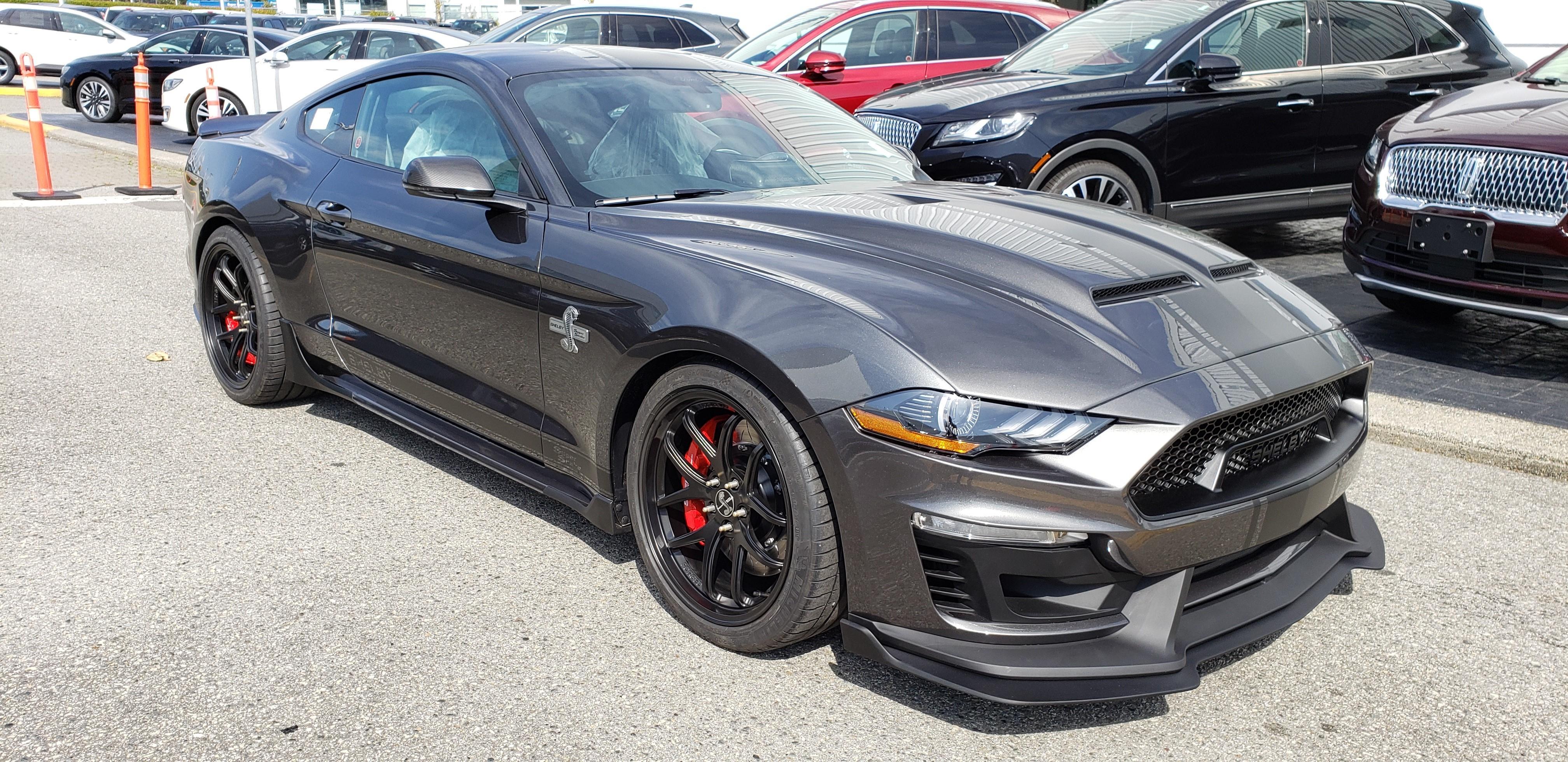 Shelby Shelby