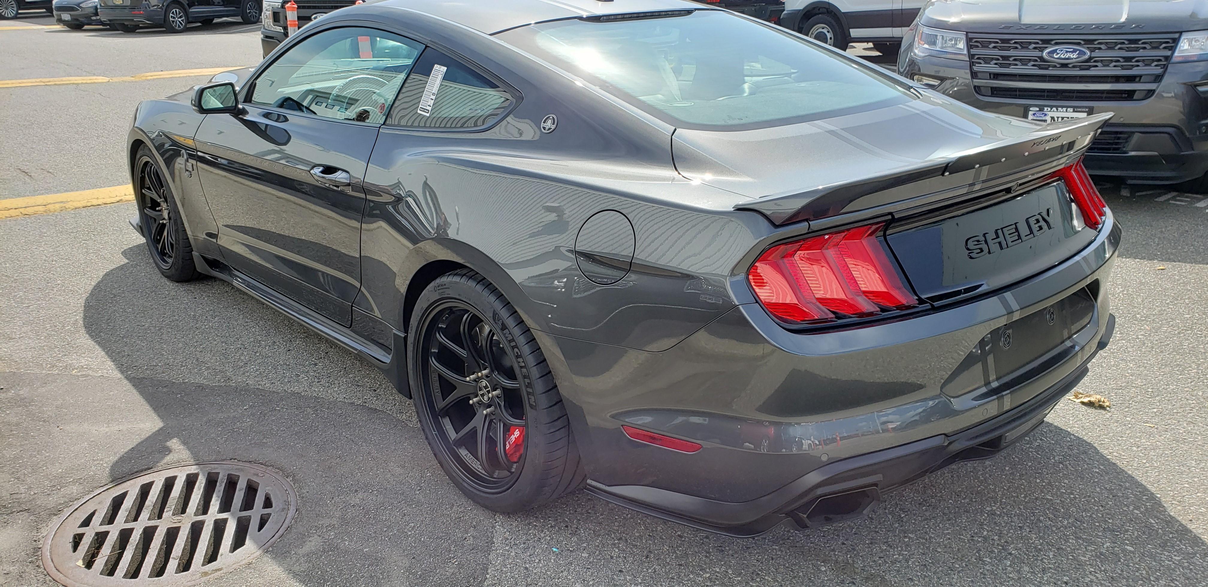 Shelby Shelby