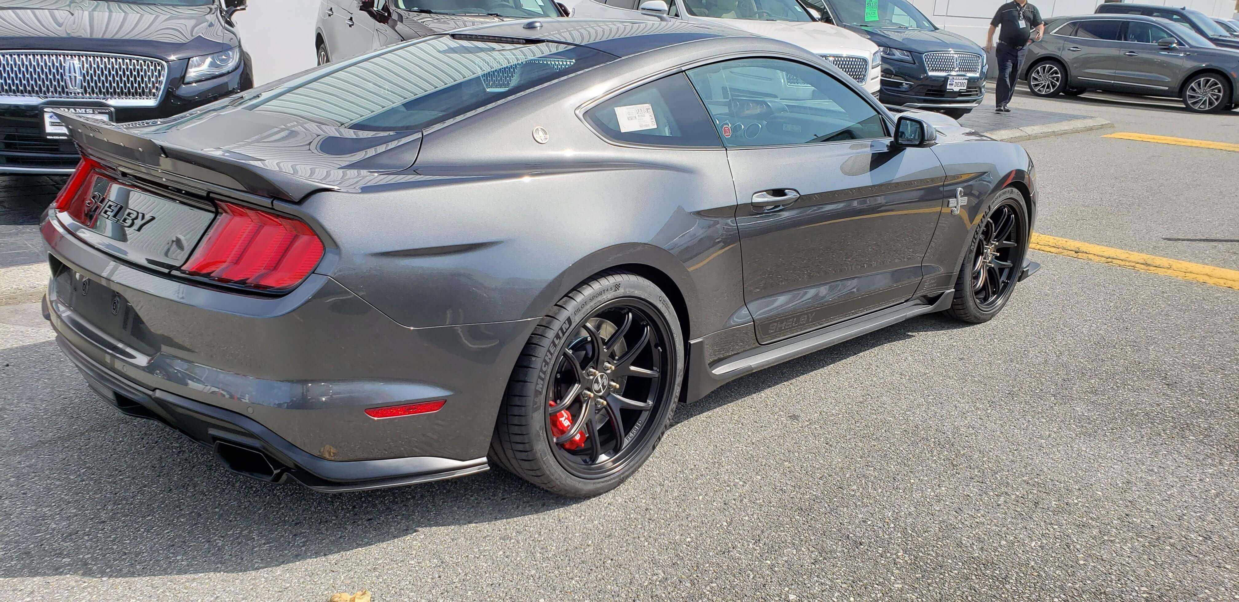 Shelby Shelby
