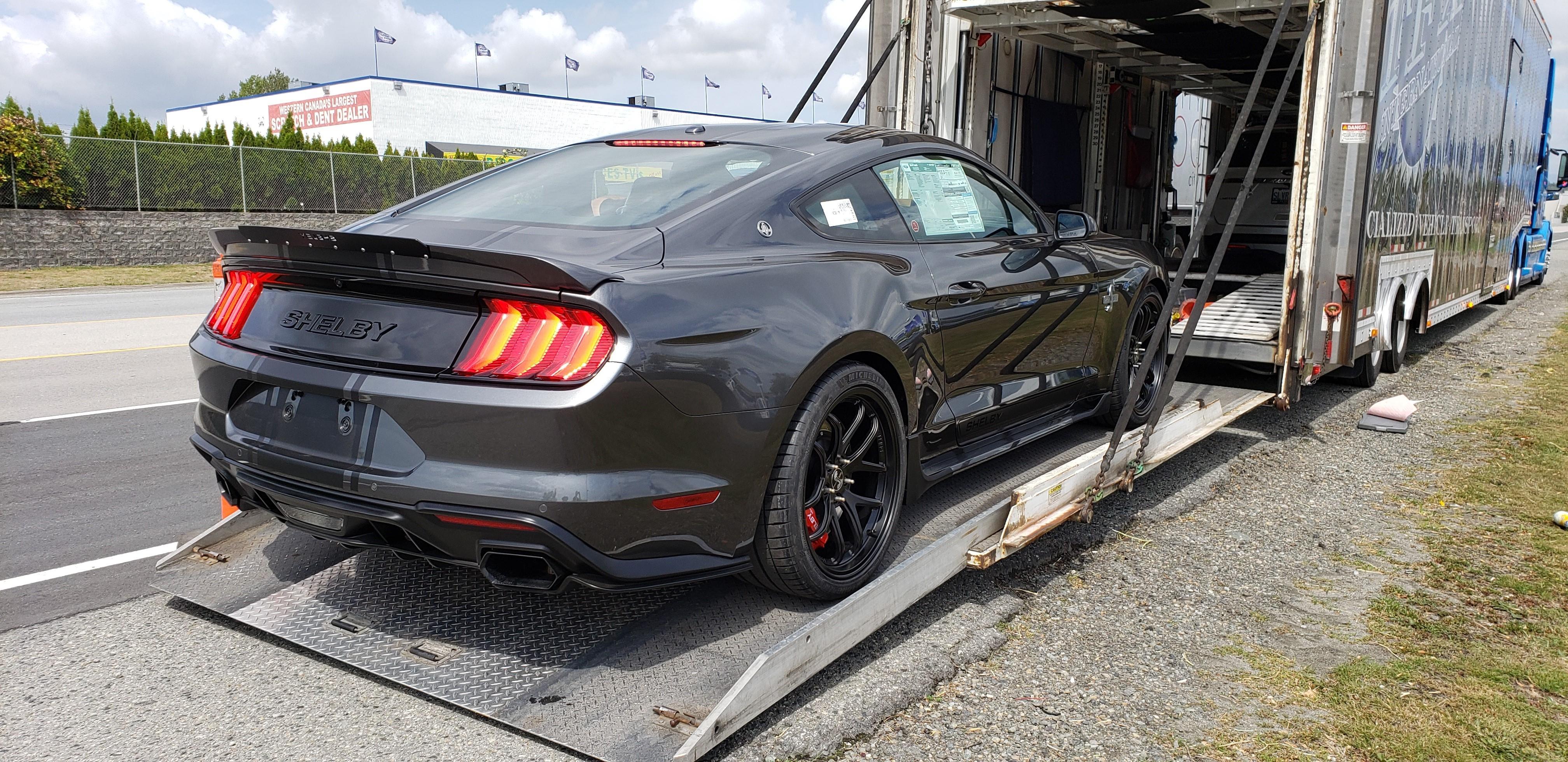 Shelby Shelby
