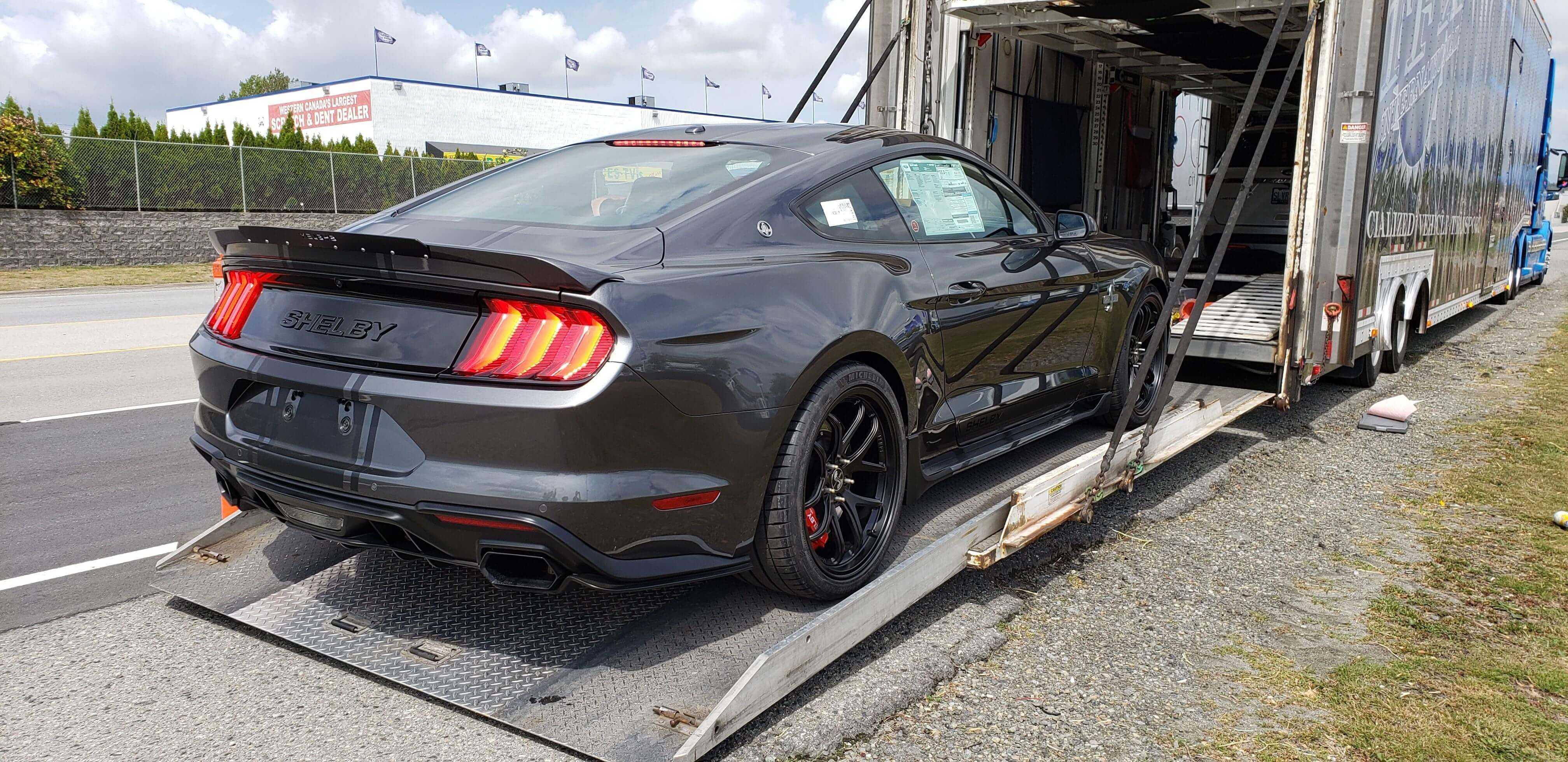 Shelby Shelby