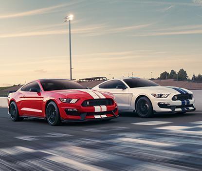 Ford Ford Performance Vehicles image Ford Ford Performance Vehicles image