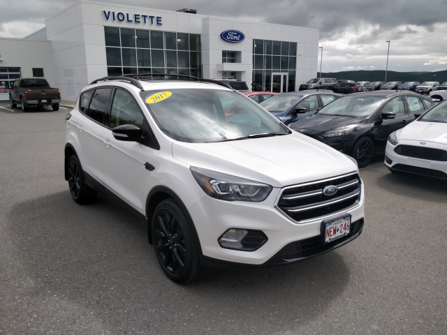 2017 Ford Escape Anium White 2 0l I4 16v Gdi Dohc Turbo 2017 Ford Escape Anium
