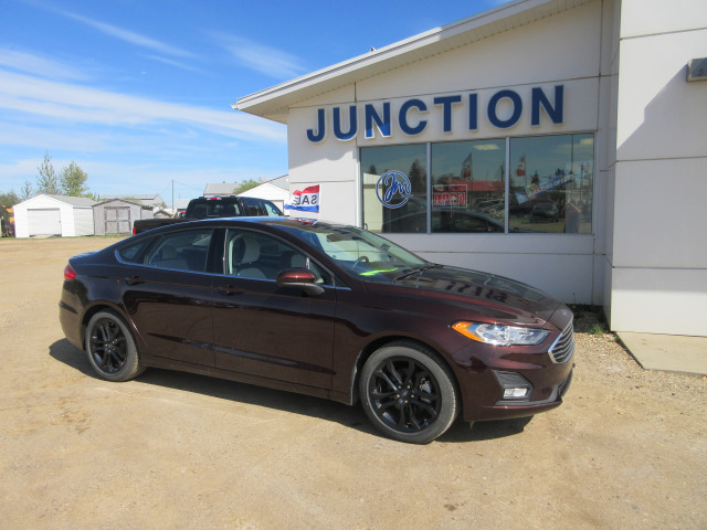 ford fusion push bar