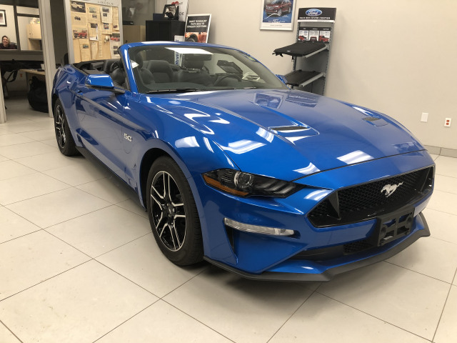 2019 Ford Mustang Gt Premium Velocity Blue 50l Ti Vct V8 Engine Pfdi