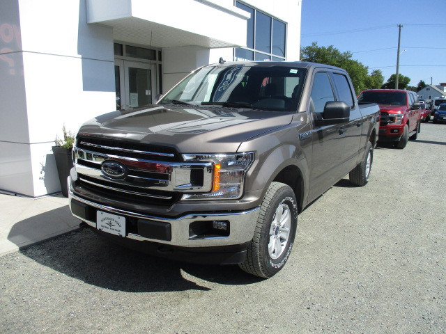 2019 Ford F 150 Xlt Stone Grey 50l Ti Vct V8 Engine With