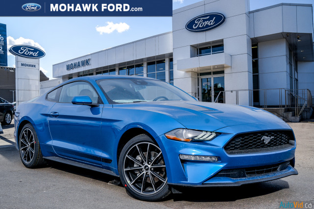 2021 Ford Mustang EcoBoost® Fastback Velocity Blue, 2.3L EcoBoost ...