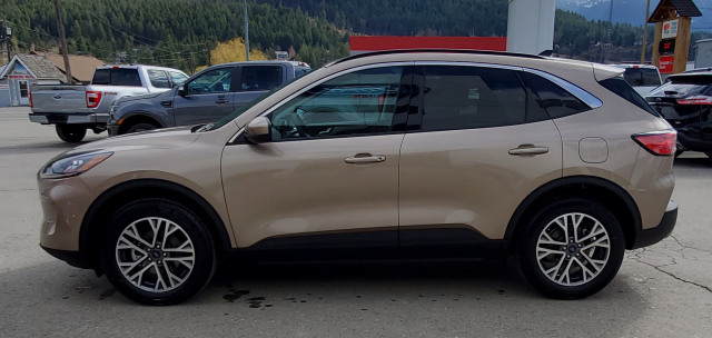 2021 Ford Escape SEL Hybrid Desert Gold, 2.5L iVCT Atkinson-cycle I-4 ...